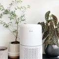 Is an Air Purifier Really Worth It?